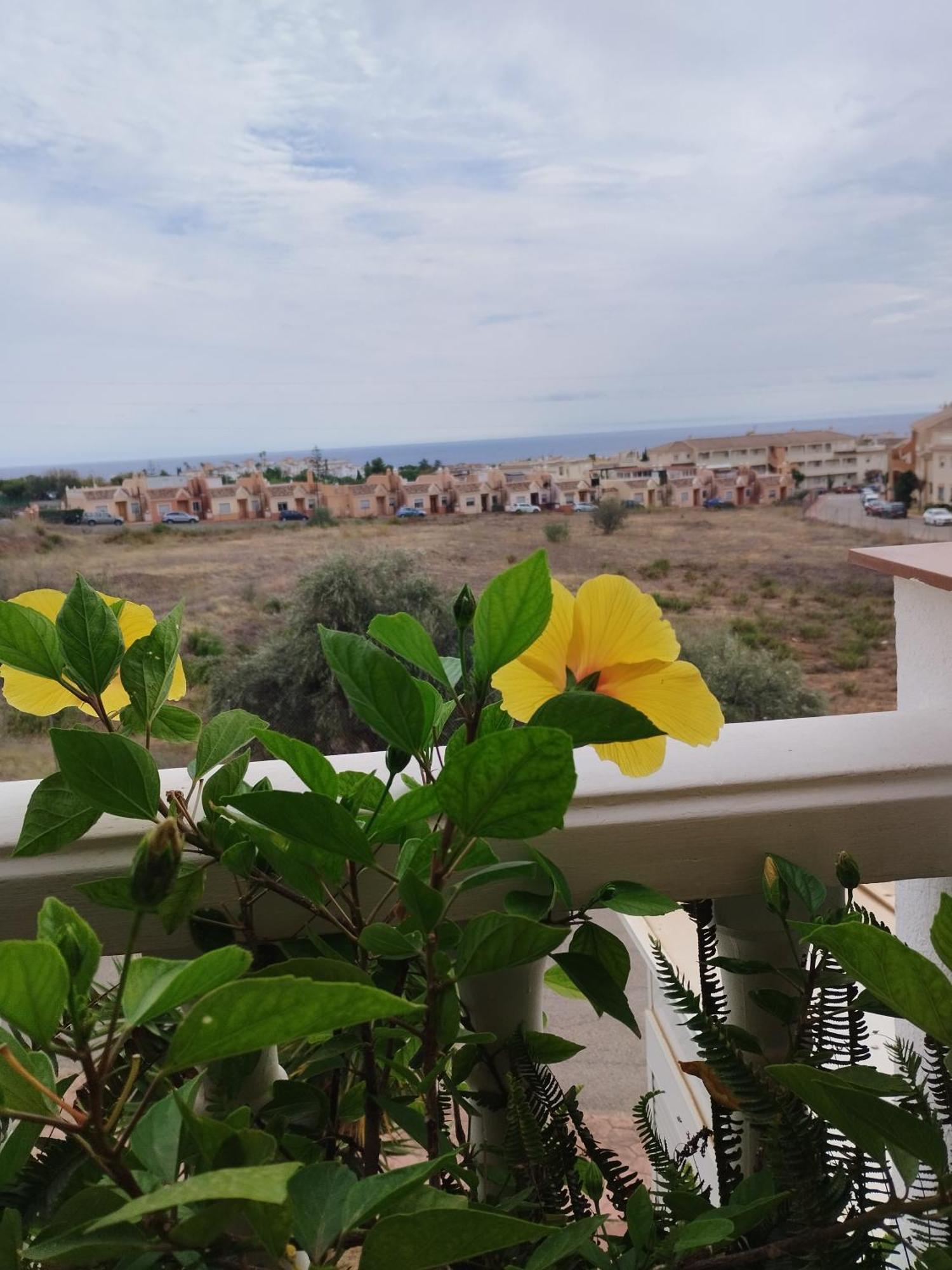 Casa Carino Leilighet Torrox Eksteriør bilde